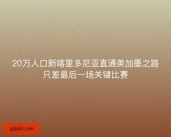 20万人口新喀里多尼亚直通美加墨之路只差最后一场关键比赛