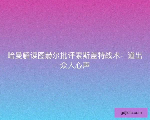 哈曼解读图赫尔批评索斯盖特战术：道出众人心声